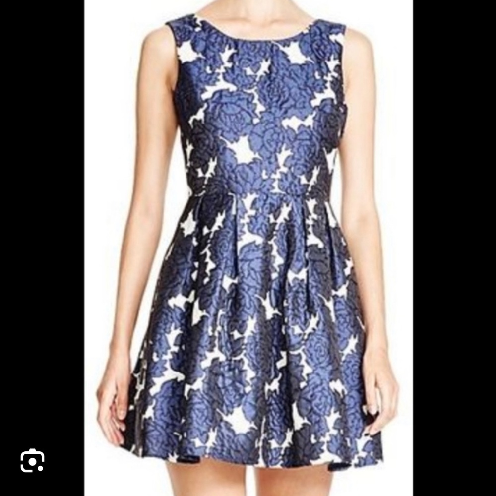 Lucy paris blue and white winter short dress!